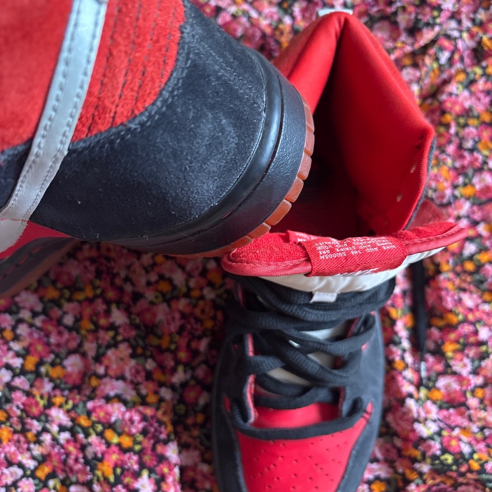 Nike SB